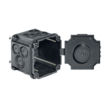 372112747_1 372112747_1